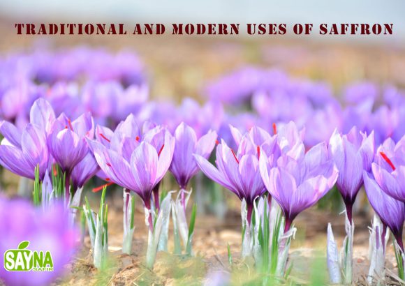 Traditional and Modern Uses of Saffron