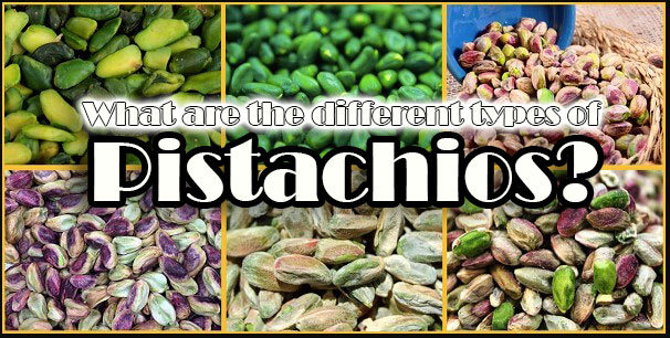 What are the different types of Pistachios?