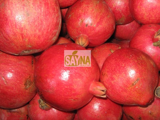Pomegranate produced by sayna safir Co,