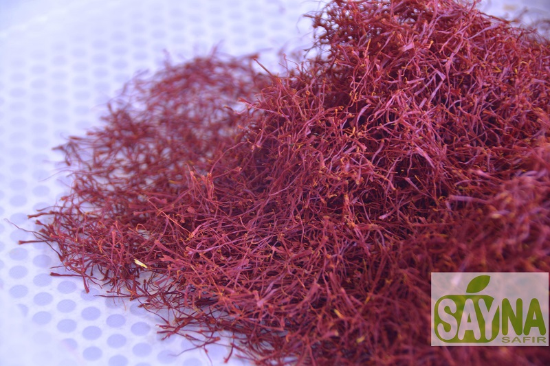 Saffron produced by Sayna Safir Co. With highest amount of safranal